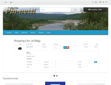 Tablet Screenshot of pm-netti.com